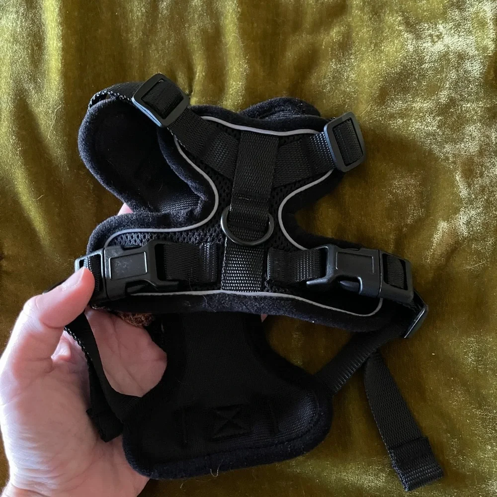 Cat Harness